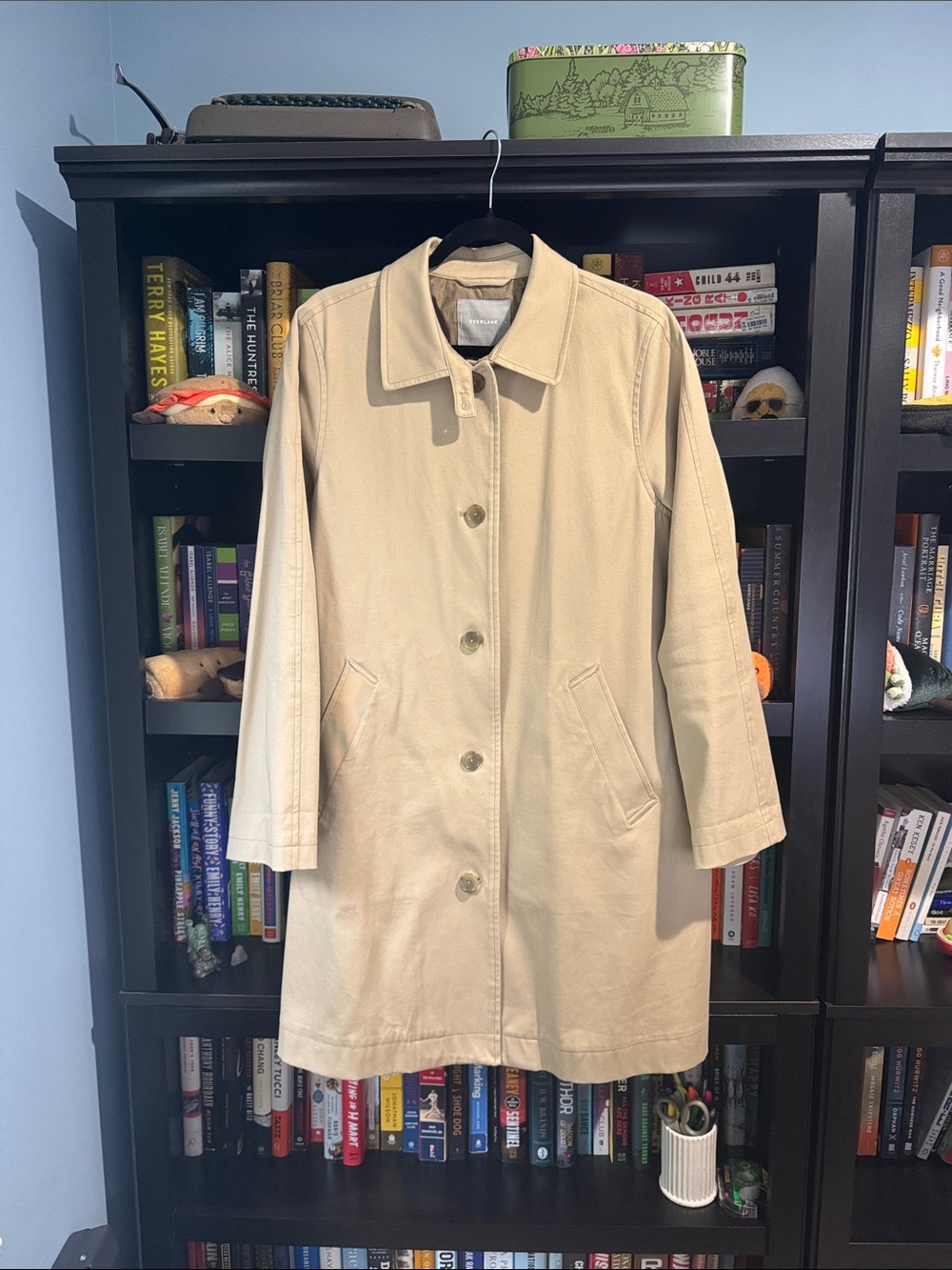 Everlane The Mac Coat